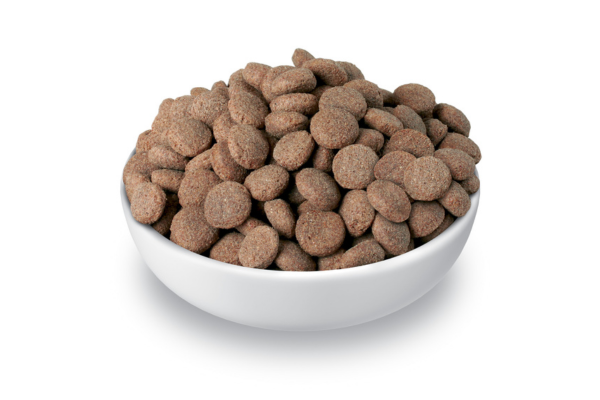 Standard dry pet food production lines